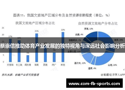 蔡崇信推动体育产业发展的独特视角与深远社会影响分析