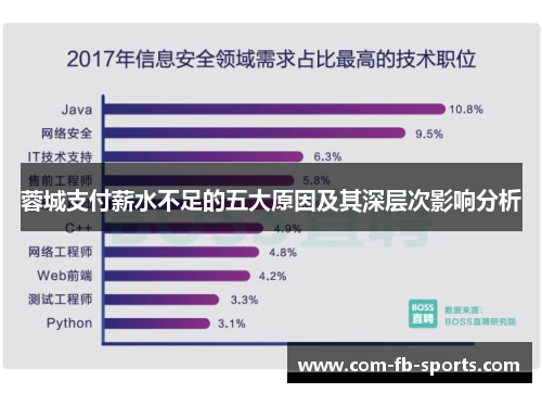 蓉城支付薪水不足的五大原因及其深层次影响分析