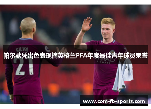帕尔默凭出色表现摘英格兰PFA年度最佳青年球员荣誉 帕尔默凭出色表现摘英格兰PFA年度最佳青年球员荣誉
