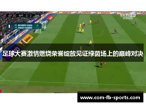 足球大赛激情燃烧荣誉绽放见证绿茵场上的巅峰对决