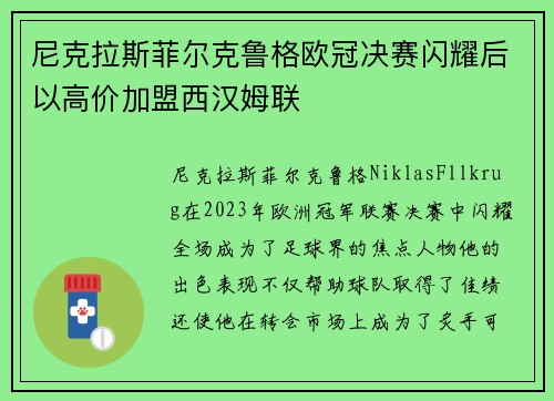 尼克拉斯菲尔克鲁格欧冠决赛闪耀后以高价加盟西汉姆联